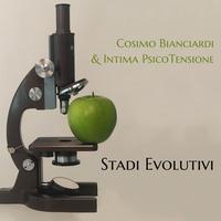 Stadi di evoluzione rock