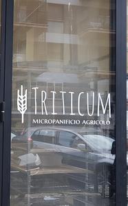 Triticum.jpg